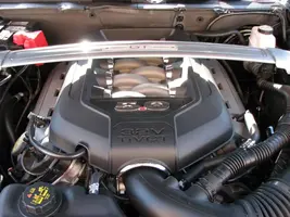 Mustang006.webp