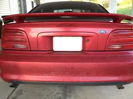 mustang01.webp