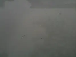 photo1.webp