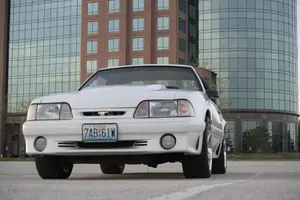 Stang174.webp