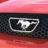 MustangGTV6