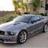 Pony On