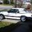 whitestang1