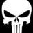 PUNISHER RACING
