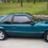 REEFBLUESTANG