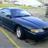 stang315