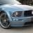 warren.carguy
