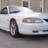 19stang94