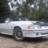 bigreed91