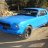 Mustang Junkie