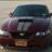 CrimsonStang