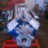 stang87306