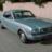 mustangjunky