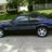 Stallian81