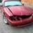 94v6vertgirl