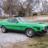 Mustang Gregg