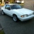 mustangfreek