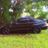 E85SN95