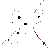 cygnus