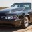Fox body finatic