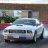 06Silverstallion