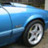 fullonfoxbody