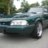 shawnsstang