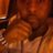 Justinwill