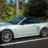 Luccette_GT40th