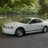 Joemustang