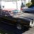 mustanglinda