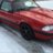 Foxfanatic_16