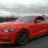 Steve_s559