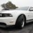 Stang'12