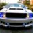 Crazy Horse Boss 494
