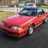 Red50Fox