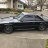 Wolf_Fox