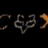 cox_racing