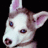 Woof 5