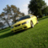 peeyellowstang