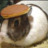 BunBun