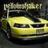 yellowshaker