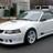 tsaleen