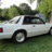 93Stang5oh