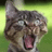 Teh Solid Snake