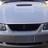 mustang232