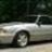 Silverfox302