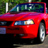 MaXimo's Stang