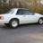 wild_stang04