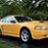 Mikey Mustang